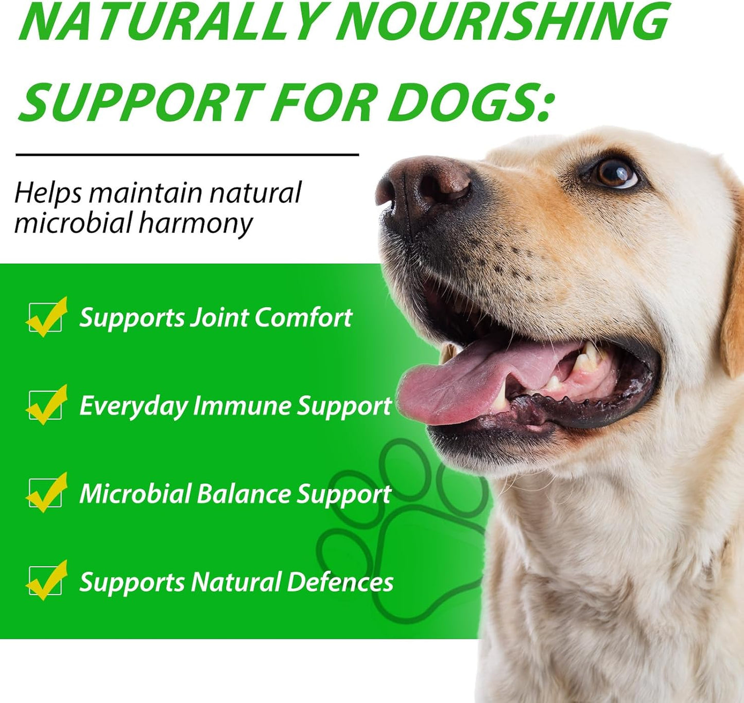 Dog Antibiotics, for Infections, Cough, & Teeth Moments, Pet Health Supplement Multivitamin Supports Allergy and Itch Relief, Herbal Supplement Is Excellent for All Breeds and Ages, 2 Oz