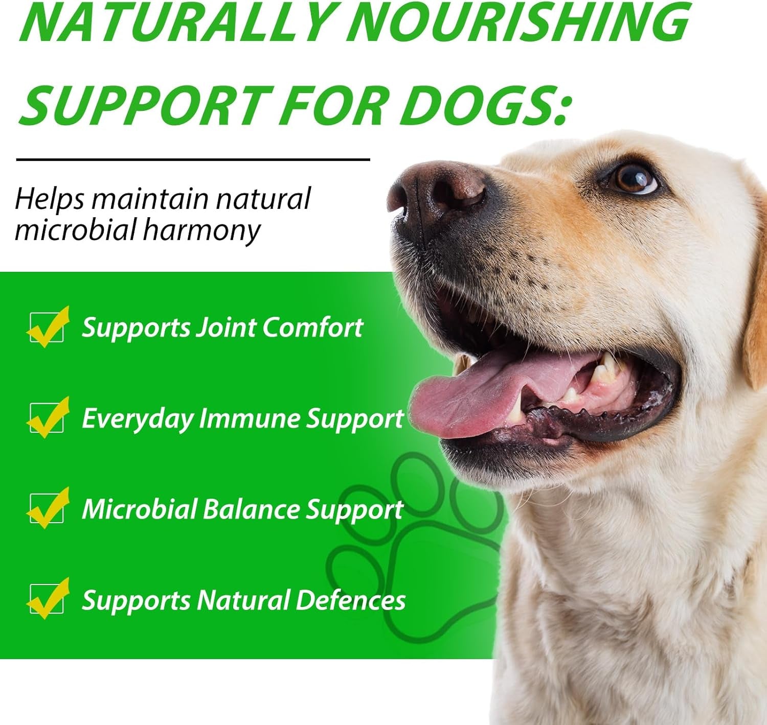 Dog Antibiotics, for Infections, Cough, & Teeth Moments, Pet Health Supplement Multivitamin Supports Allergy and Itch Relief, Herbal Supplement Is Excellent for All Breeds and Ages, 2 Oz