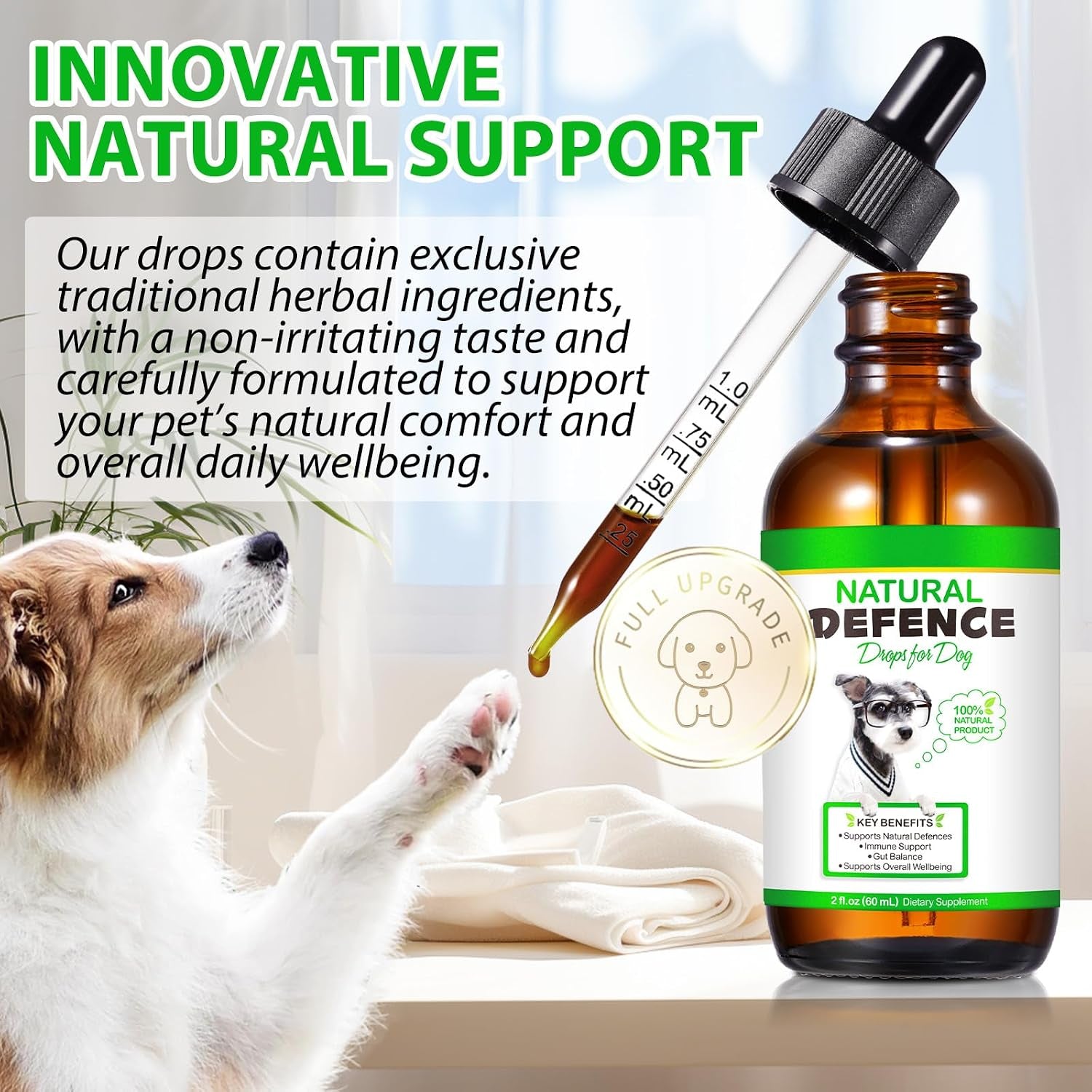 Dog Antibiotics, for Infections, Cough, & Teeth Moments, Pet Health Supplement Multivitamin Supports Allergy and Itch Relief, Herbal Supplement Is Excellent for All Breeds and Ages, 2 Oz