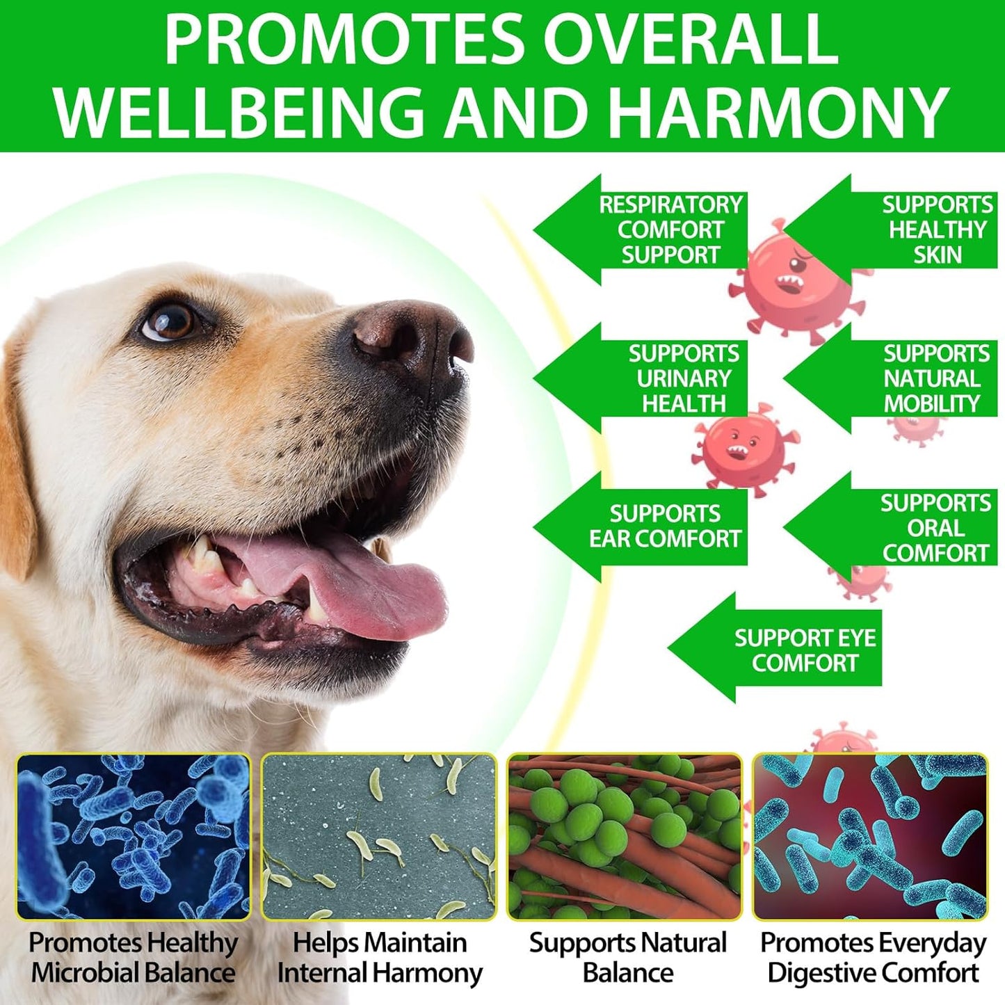 Dog Antibiotics, for Infections, Cough, & Teeth Moments, Pet Health Supplement Multivitamin Supports Allergy and Itch Relief, Herbal Supplement Is Excellent for All Breeds and Ages, 2 Oz