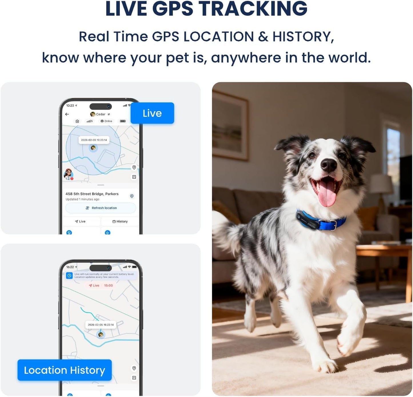 AI GPS Tracker for Dogs (40Lbs+), Real Time Location and AI Vet Health Management, Electronic Fence, Waterproof, Ios and Android Universal（Black）