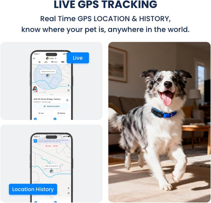 AI GPS Tracker for Dogs (40Lbs+), Real Time Location and AI Vet Health Management, Electronic Fence, Waterproof, Ios and Android Universal（Black）