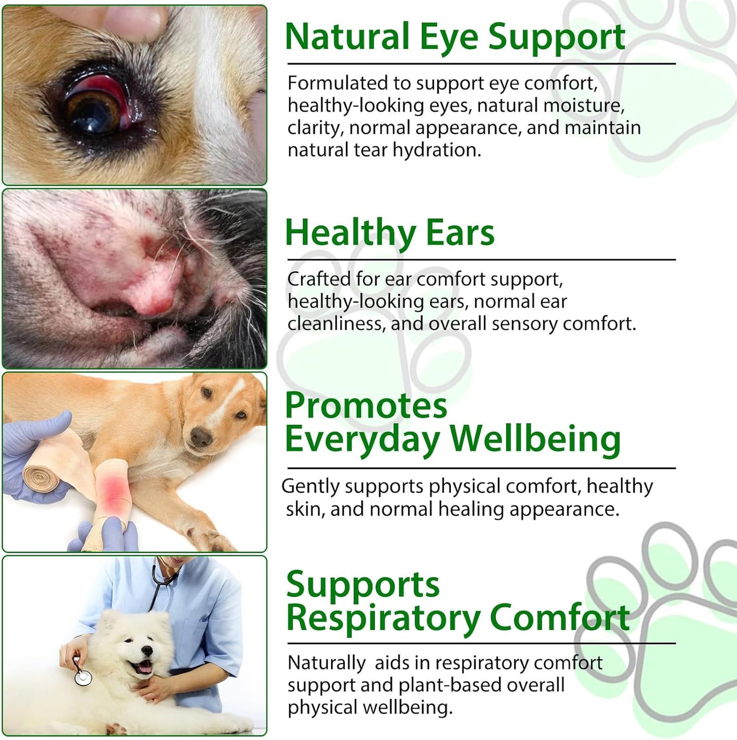 Dog Antibiotics, for Infections, Cough, & Teeth Moments, Pet Health Supplement Multivitamin Supports Allergy and Itch Relief, Herbal Supplement Is Excellent for All Breeds and Ages, 2 Oz